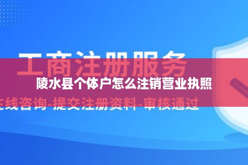 陵水县个体户怎么注销营业执照