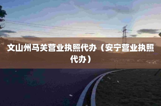 文山州马关营业执照代办（安宁营业执照代办）