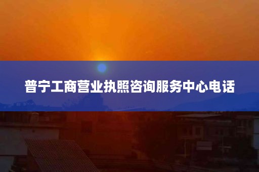 普宁工商营业执照咨询服务中心电话