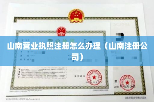 山南营业执照注册怎么办理（山南注册公司）