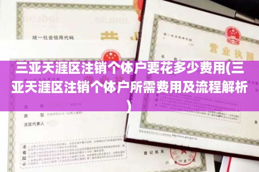 三亚天涯区注销个体户要花多少费用(三亚天涯区注销个体户所需费用及流程解析)