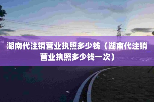 湖南代注销营业执照多少钱（湖南代注销营业执照多少钱一次）