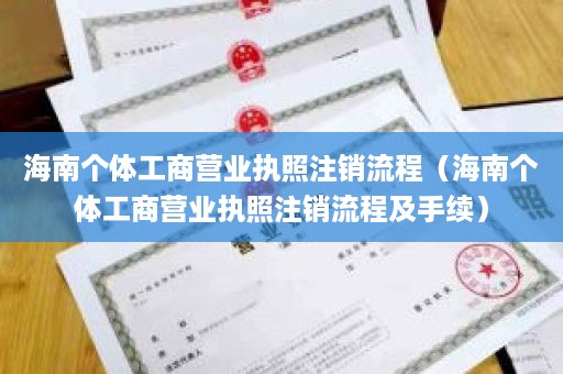 海南个体工商营业执照注销流程（海南个体工商营业执照注销流程及手续）