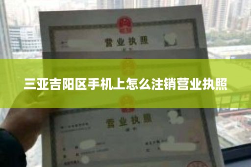 三亚吉阳区手机上怎么注销营业执照