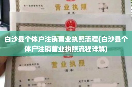 白沙县个体户注销营业执照流程(白沙县个体户注销营业执照流程详解)
