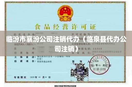 临汾市襄汾公司注销代办（临泉县代办公司注销）