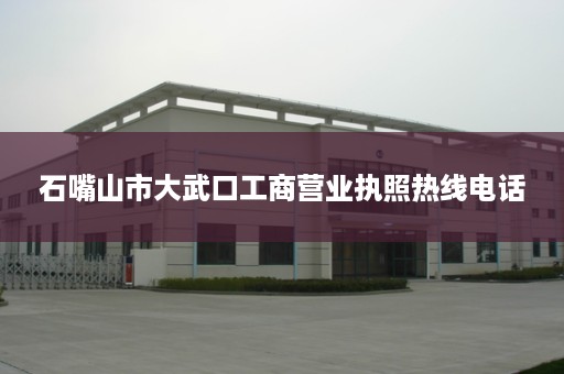 石嘴山市大武口工商营业执照热线电话