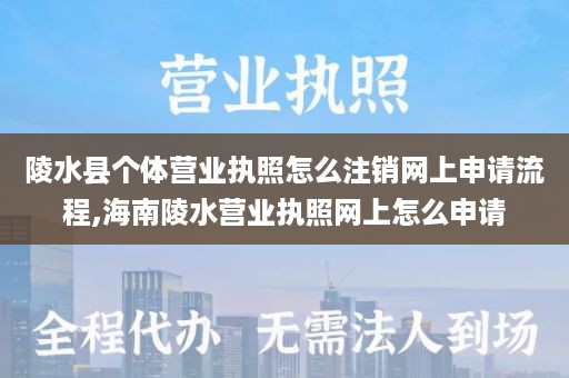 陵水县个体营业执照怎么注销网上申请流程,海南陵水营业执照网上怎么申请