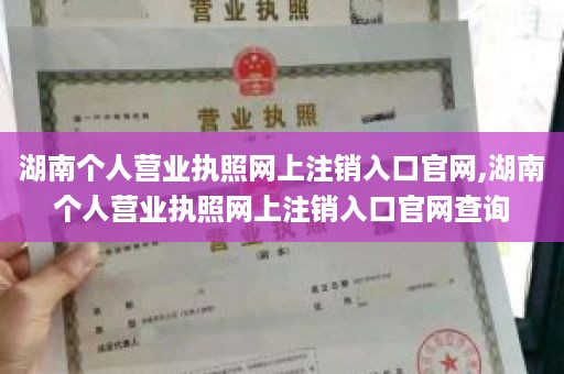 湖南个人营业执照网上注销入口官网,湖南个人营业执照网上注销入口官网查询