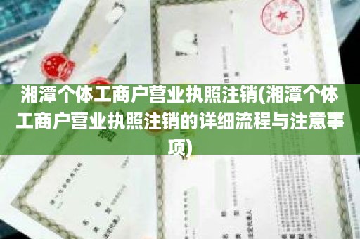 湘潭个体工商户营业执照注销(湘潭个体工商户营业执照注销的详细流程与注意事项)