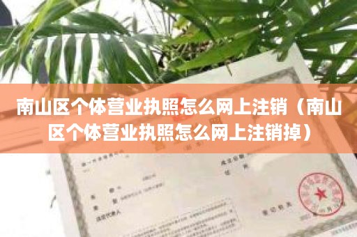 南山区个体营业执照怎么网上注销（南山区个体营业执照怎么网上注销掉）