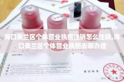 海口美兰区个体营业执照注销怎么注销,海口美兰区个体营业执照去哪办理