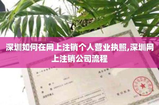深圳如何在网上注销个人营业执照,深圳网上注销公司流程