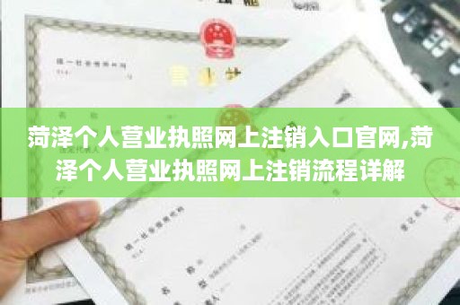 菏泽个人营业执照网上注销入口官网,菏泽个人营业执照网上注销流程详解
