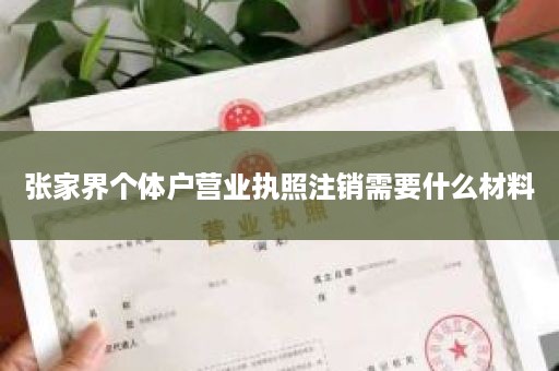 张家界个体户营业执照注销需要什么材料