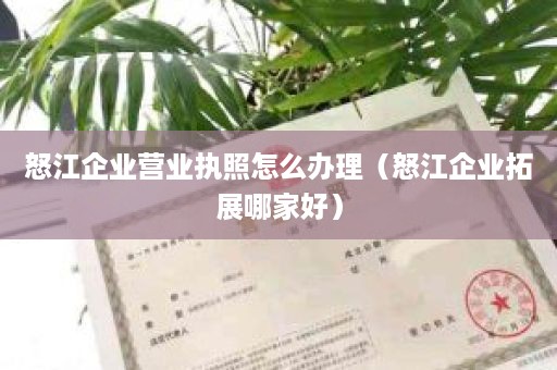 怒江企业营业执照怎么办理（怒江企业拓展哪家好）