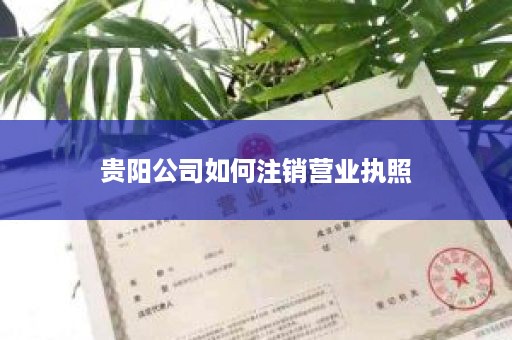 贵阳公司如何注销营业执照
