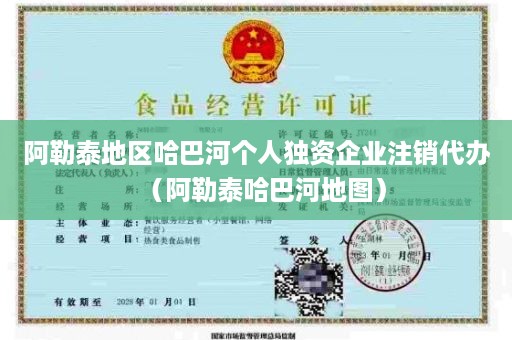 阿勒泰地区哈巴河个人独资企业注销代办（阿勒泰哈巴河地图）
