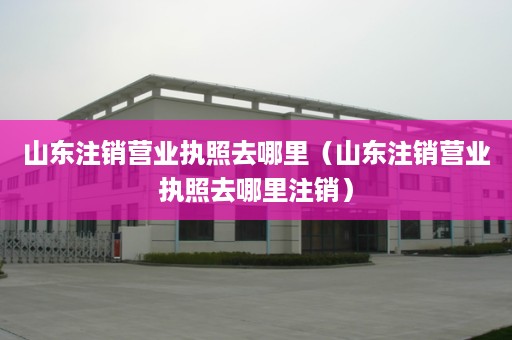 山东注销营业执照去哪里（山东注销营业执照去哪里注销）