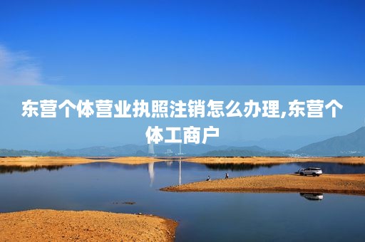 东营个体营业执照注销怎么办理,东营个体工商户
