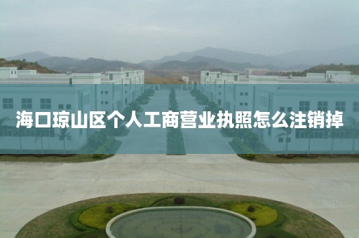 海口琼山区个人工商营业执照怎么注销掉