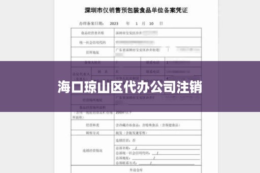 海口琼山区代办公司注销