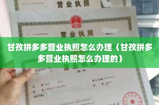 甘孜拼多多营业执照怎么办理（甘孜拼多多营业执照怎么办理的）
