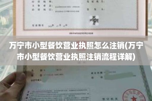 万宁市小型餐饮营业执照怎么注销(万宁市小型餐饮营业执照注销流程详解)