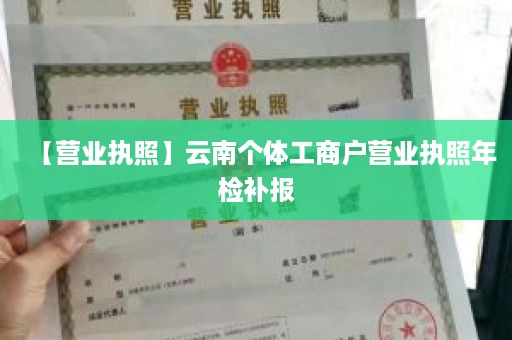 【营业执照】云南个体工商户营业执照年检补报
