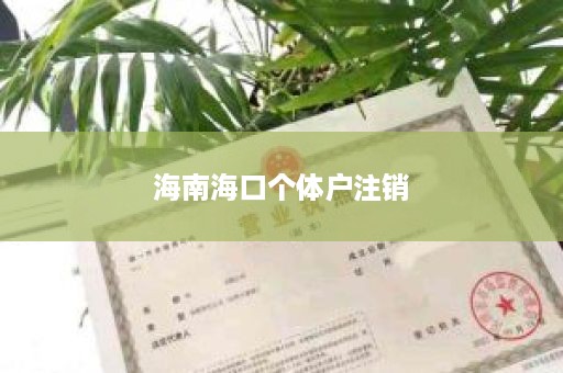 海南海口个体户注销