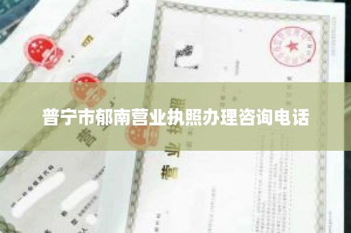 普宁市郁南营业执照办理咨询电话