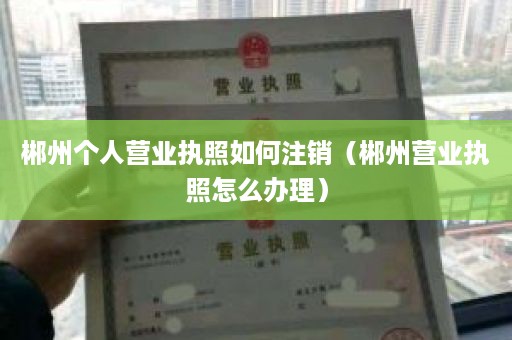 郴州个人营业执照如何注销（郴州营业执照怎么办理）