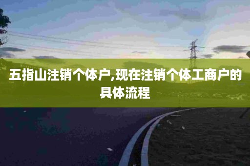 五指山注销个体户,现在注销个体工商户的具体流程