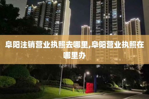阜阳注销营业执照去哪里,阜阳营业执照在哪里办