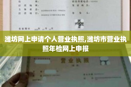 潍坊网上申请个人营业执照,潍坊市营业执照年检网上申报