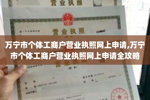 万宁市个体工商户营业执照网上申请,万宁市个体工商户营业执照网上申请全攻略