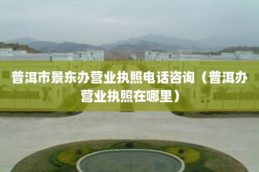 普洱市景东办营业执照电话咨询（普洱办营业执照在哪里）