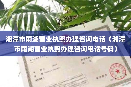 湘潭市雨湖营业执照办理咨询电话（湘潭市雨湖营业执照办理咨询电话号码）