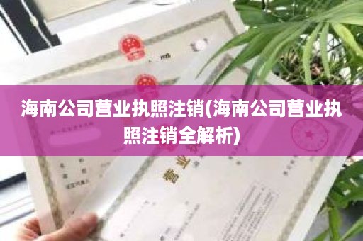 海南公司营业执照注销(海南公司营业执照注销全解析)