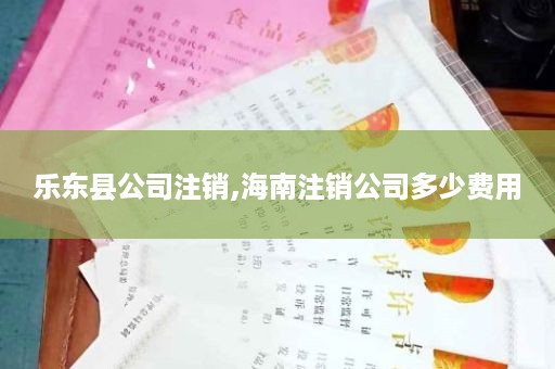 乐东县公司注销,海南注销公司多少费用