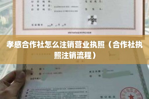 孝感合作社怎么注销营业执照（合作社执照注销流程）