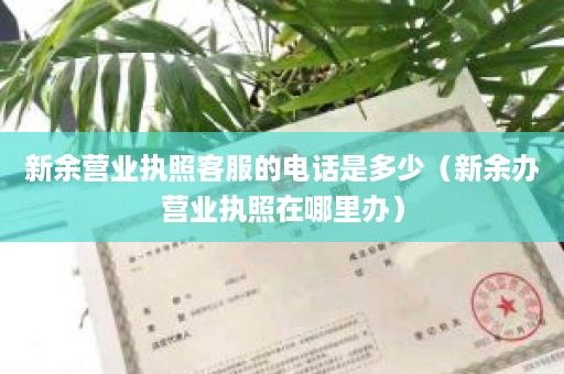 新余营业执照客服的电话是多少（新余办营业执照在哪里办）