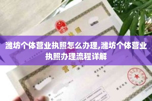 潍坊个体营业执照怎么办理,潍坊个体营业执照办理流程详解