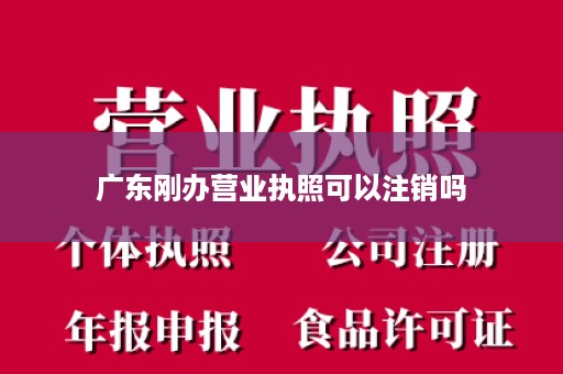 广东刚办营业执照可以注销吗