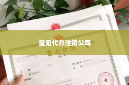 益阳代办注销公司