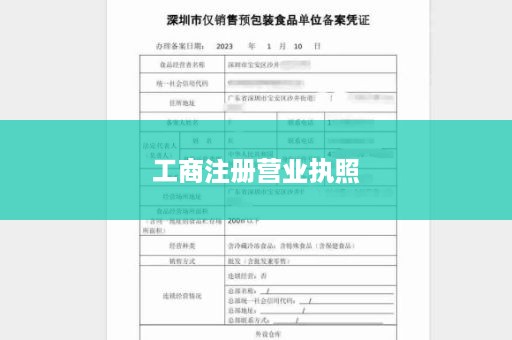 工商注册营业执照