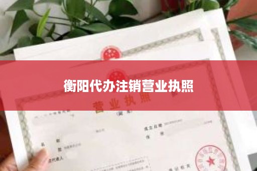衡阳代办注销营业执照