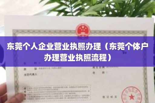 东莞个人企业营业执照办理（东莞个体户办理营业执照流程）