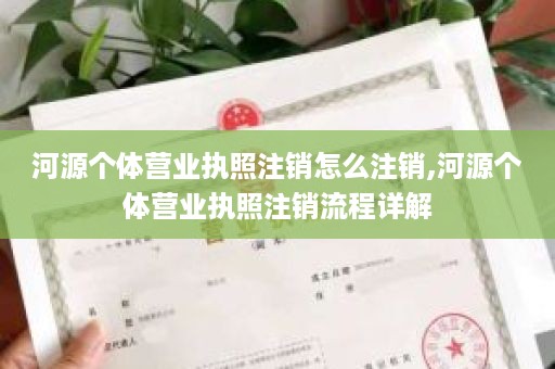河源个体营业执照注销怎么注销,河源个体营业执照注销流程详解