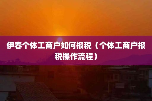 伊春个体工商户如何报税（个体工商户报税操作流程）